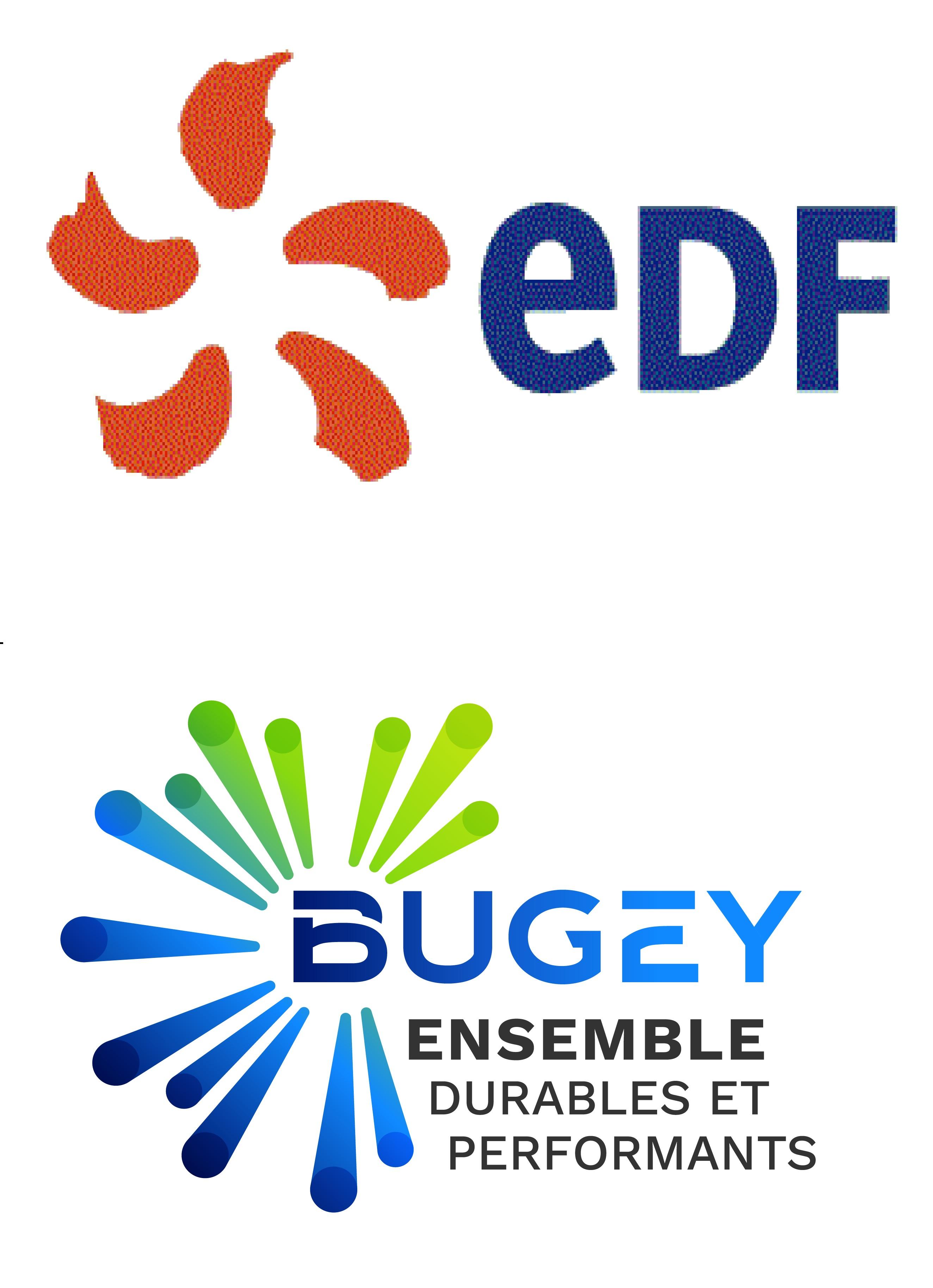 Logo EDF BUGEY