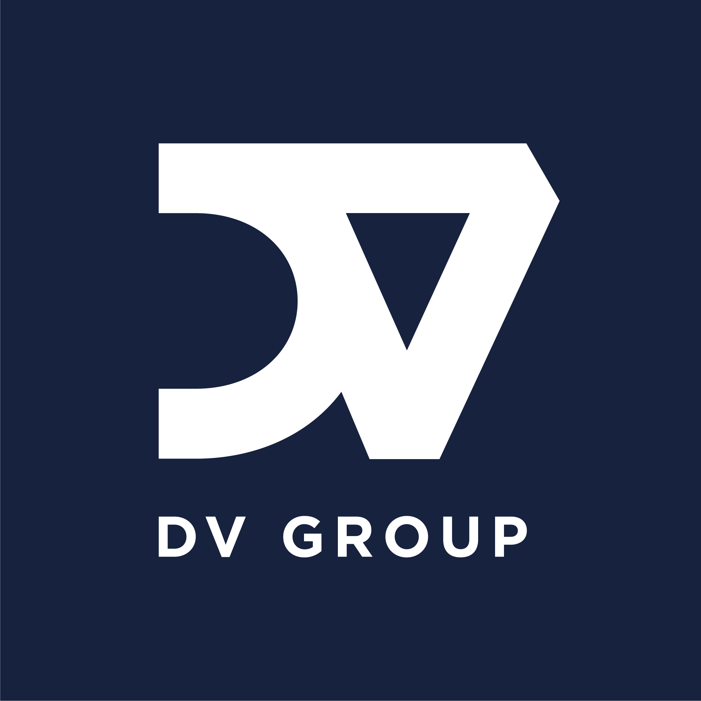 Logo DV GROUP