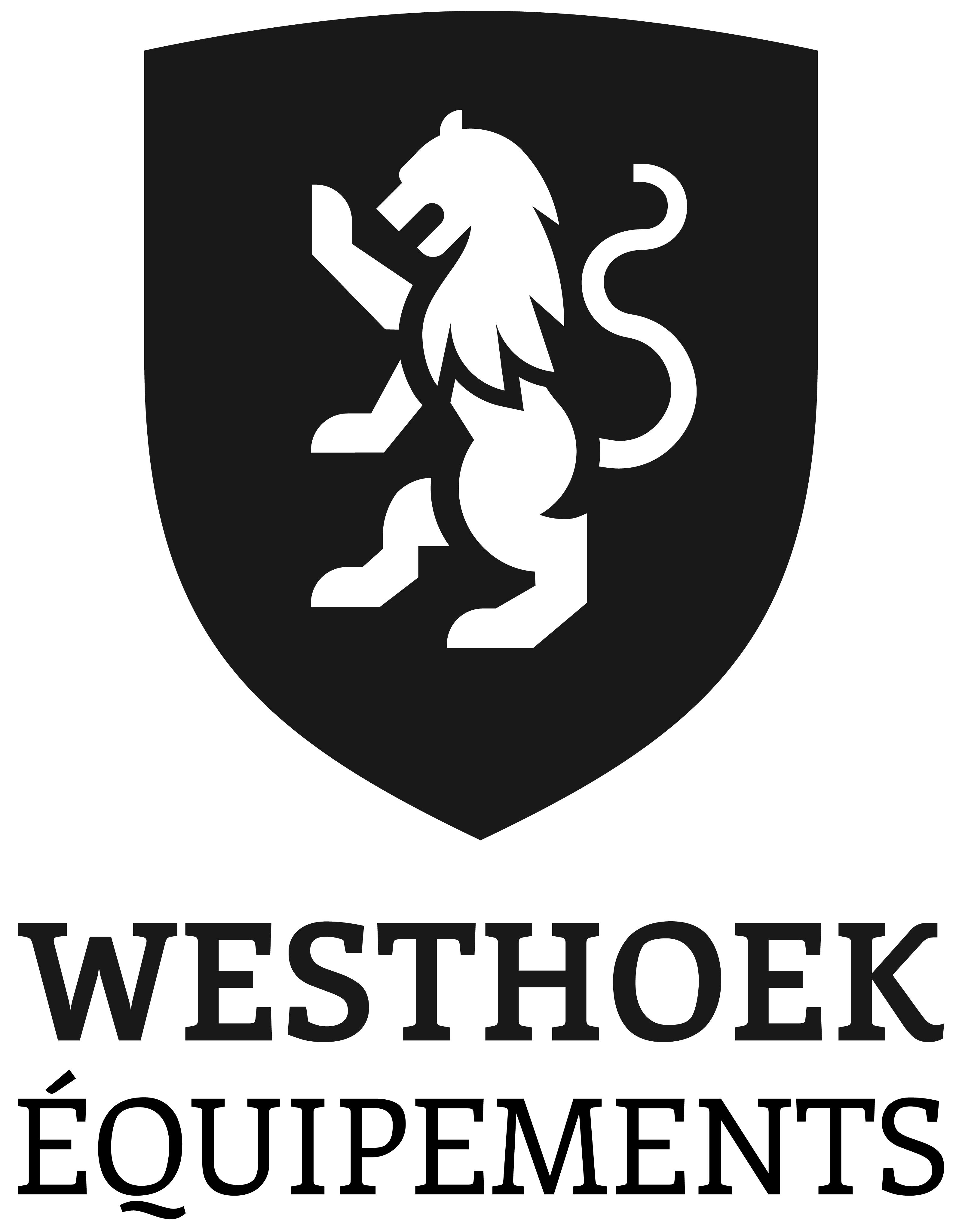 WESTHOEK EQUIPEMENT & INGENIERIE DE LA METALLURGIE