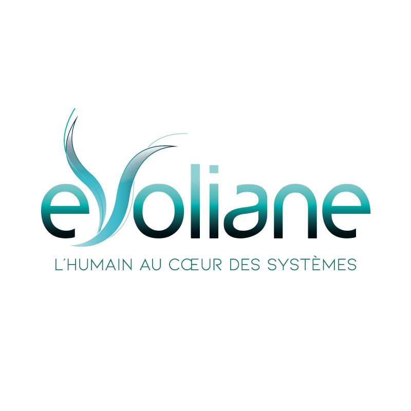 EVOLIANE // L'humain au coeur des systèmes