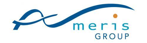 logo_ameris_group_2016_04_14-v.jpg